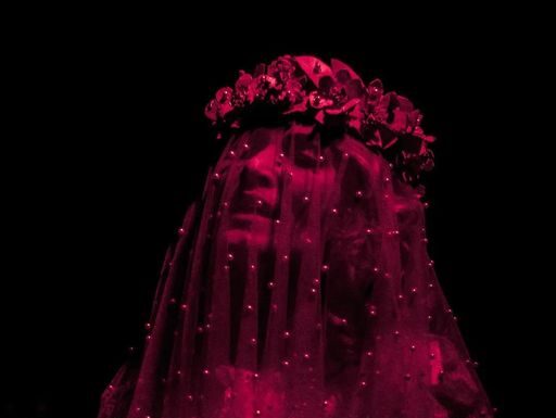 Actriz Nileny Dippton impresiona y cautiva con su "Cecilia B"