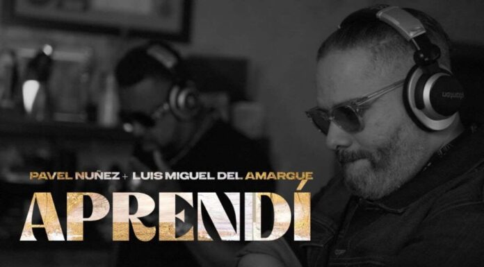 Pavel Nuñez ft Luis Miguel Del Amargue APRENDÍ (lyric video)
